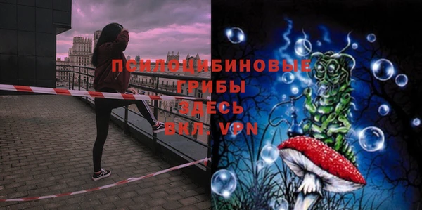 твердый Богородск