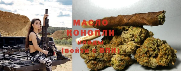 винт Богданович