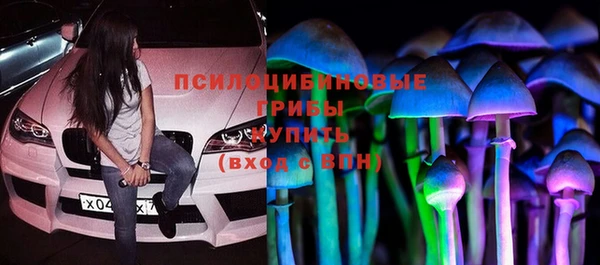 твердый Богородск