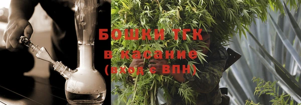 индика Бронницы