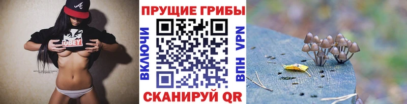 Псилоцибиновые грибы мицелий  Старица 